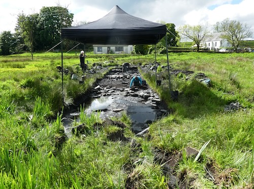 1.Site of the monastic oval building and the craft area, the parish church (choir of the medieval cathedral) in the background to the west..JPG